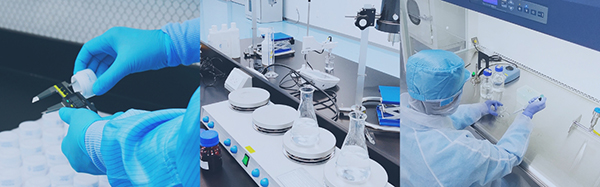 Danh mục sản xuất